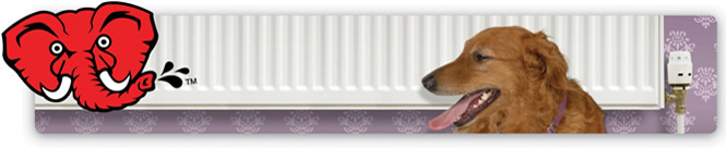 Radiator and dog
