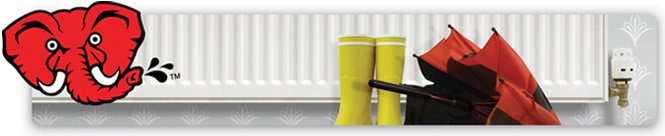 Radiator and an umbrella
