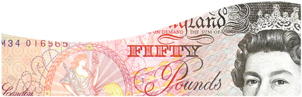 powerflush finance